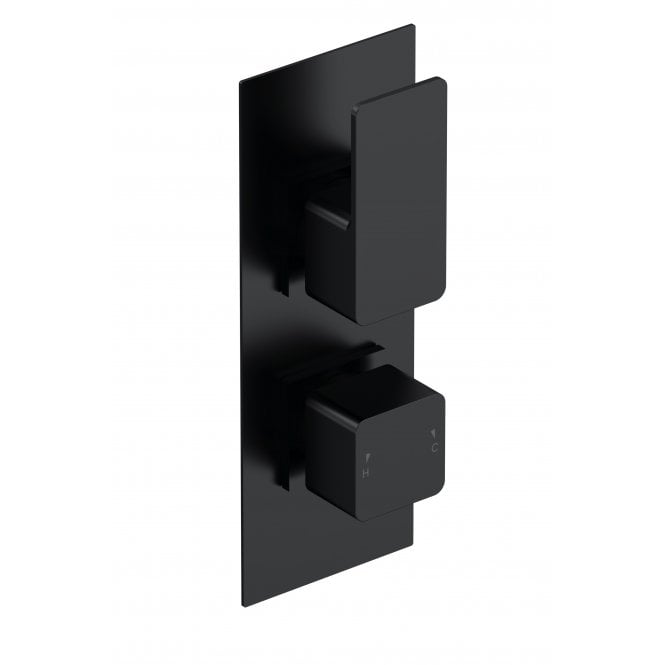 Nuie  Windon Twin Thermostatic Valve WIN4TW01