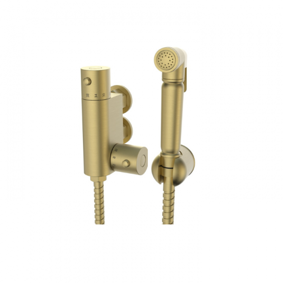 Douche Thermostatic Bar Valve with Spray Kit Brushed Brass