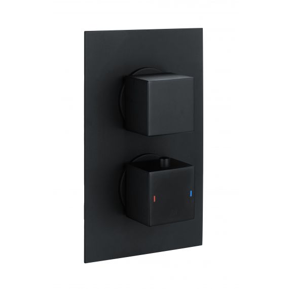 Square Dual Outlet, 2 Handle Thermostatic Concealed Shower Valve in Black
